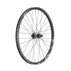 Dt-swiss FR 1950 Classic DB 29 Inch Achterwiel, 30mm Lichtmetaal, IS-6 Gat, Shimano, 148/12mm TA